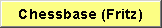 Fritz, Chessbase und Onlineschach